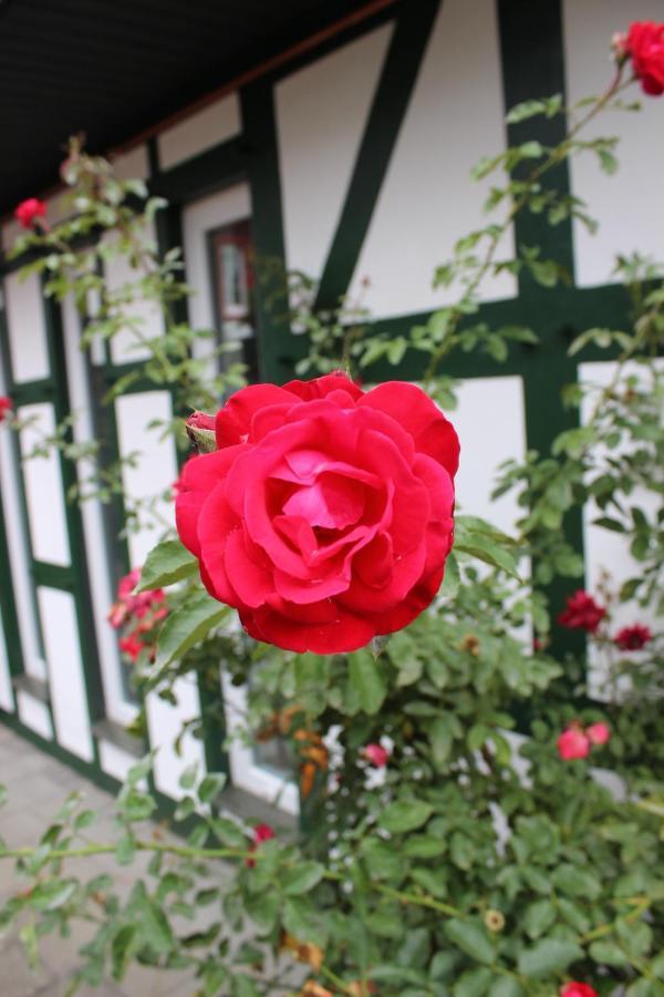Gemuetliches Fachwerkhaus Im Herzen Nideggens Exterior photo